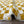 Custom Handmade Moroccan Checkered Beber White & Mustard Yellow Handwoven Rug - MarrakeshLoom